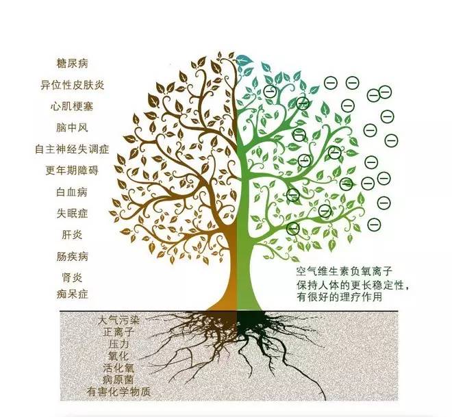 看了这个，你还会一直呆在空调房么？