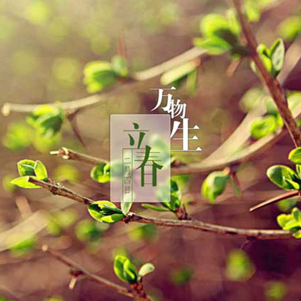 立春?一年之计始于春！
